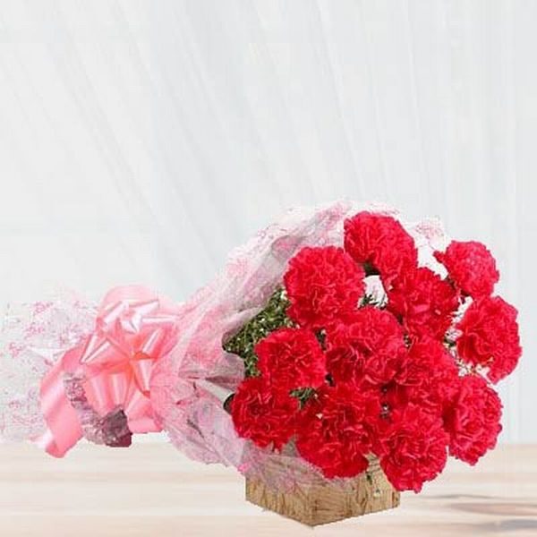 12 Red Carnations