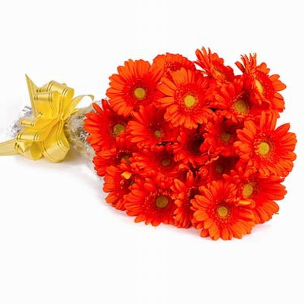 18 Orange Gerbera Bouquet