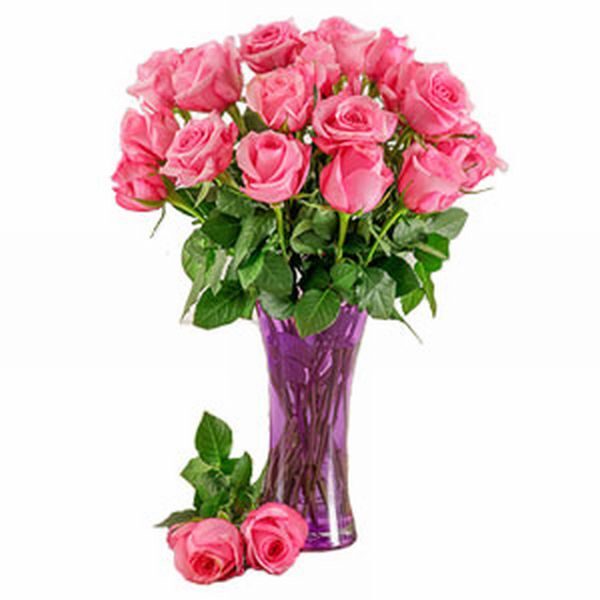 24 Pink Roses in a Glass Vase