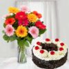 12 Mixed Gerberas with Black Forest Cake