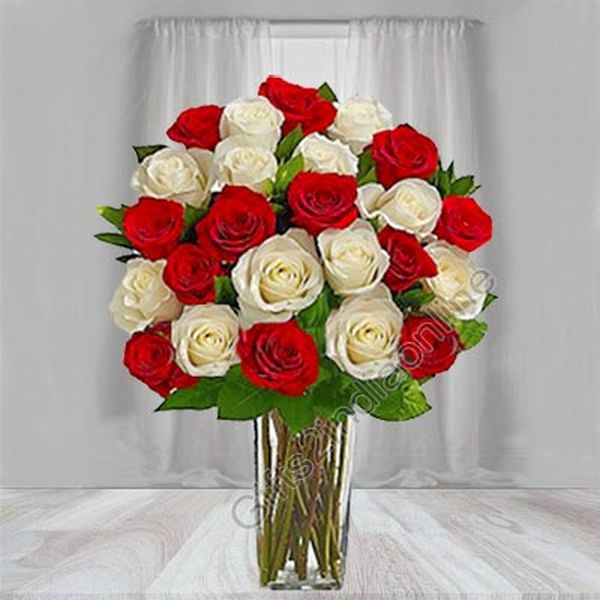 12 Red Roses and 12 White Roses