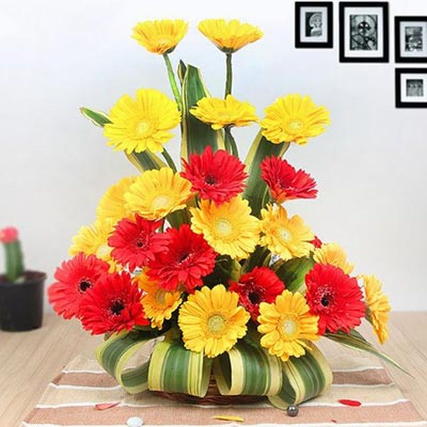 24 Red and Yellow Gerberas