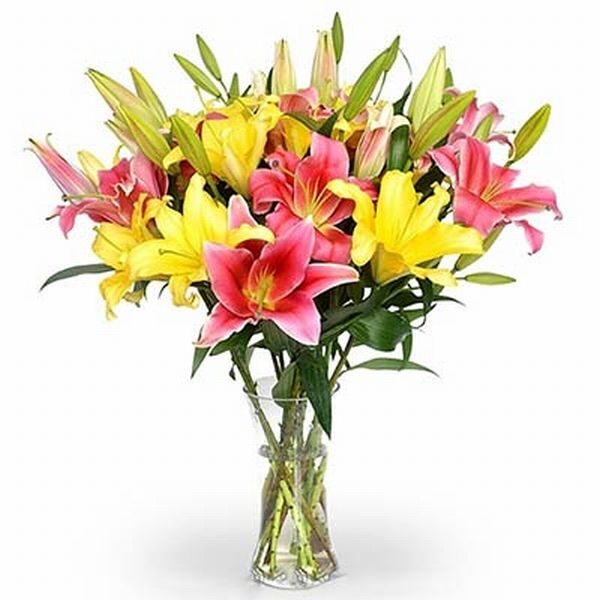 colorful Lilies in a glass vase