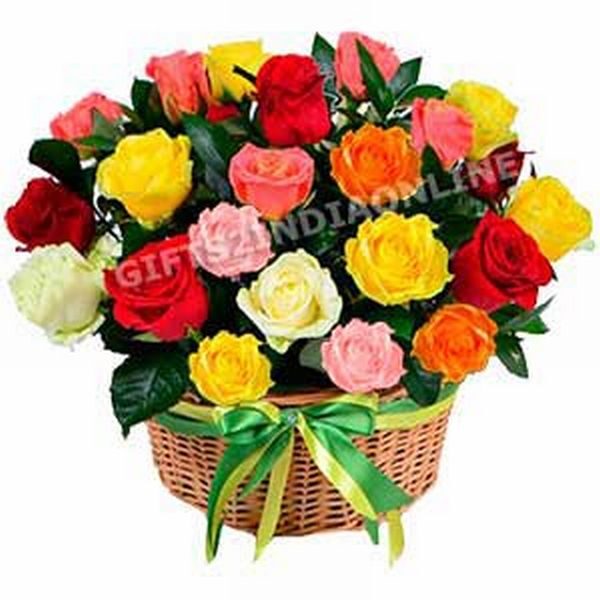 Multi-Coloured Roses