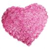 Heart Pink Rose Cushion