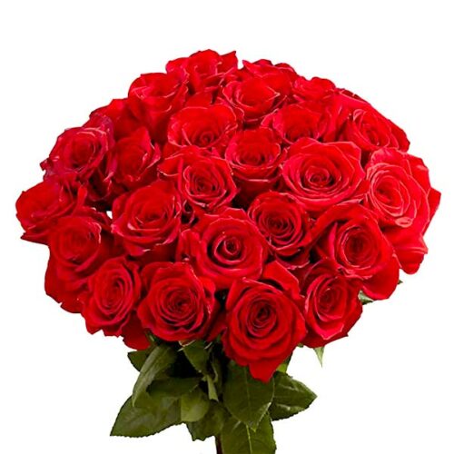 Global Roses for Valentime