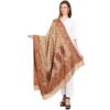Weavers Villa Women's Acro Wool Blend Woven Kashmiri Shawls, Stoles